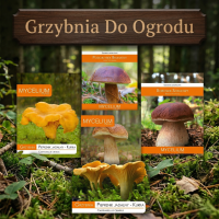 Grzybnia do Ogrodu - Grzyby Leśne i Jadalne we Własnym Ogrodzie | Sklep