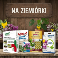 Środki na Ziemiórki - Skuteczne Preparaty, Pałeczki i Żółte Lepy | Sklep